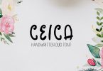 Ceica Handwritten Duo Font