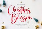Christmas Blossom Font