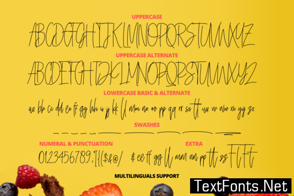 Dellicioust Font