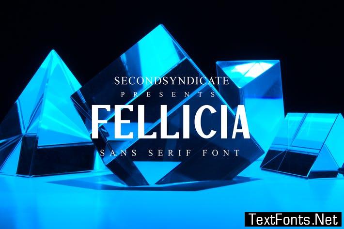 Fellicia - Sans Serif Font