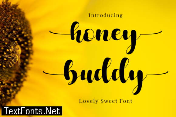 Honey Buddy Font