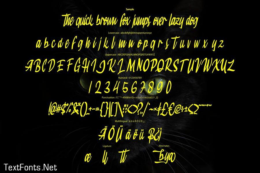 Jackbaya | Modern Script Font