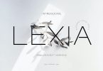 Lexia Business Advertisement Font
