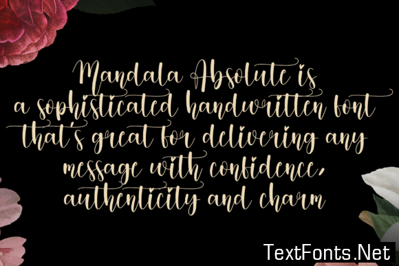 Mandala Absolute Font