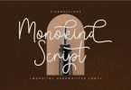 Monokind Script - Monoline Handwritten Font