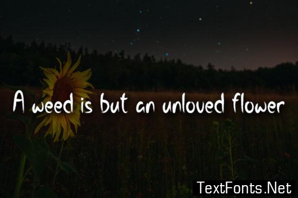 Night Flower Font