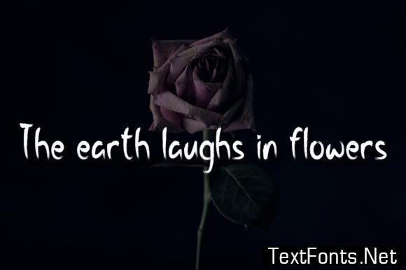 Night Flower Font