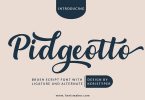 Pidgeotto Font