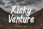 Risky Venture – Display Brush