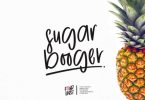 Sugar Booger Font