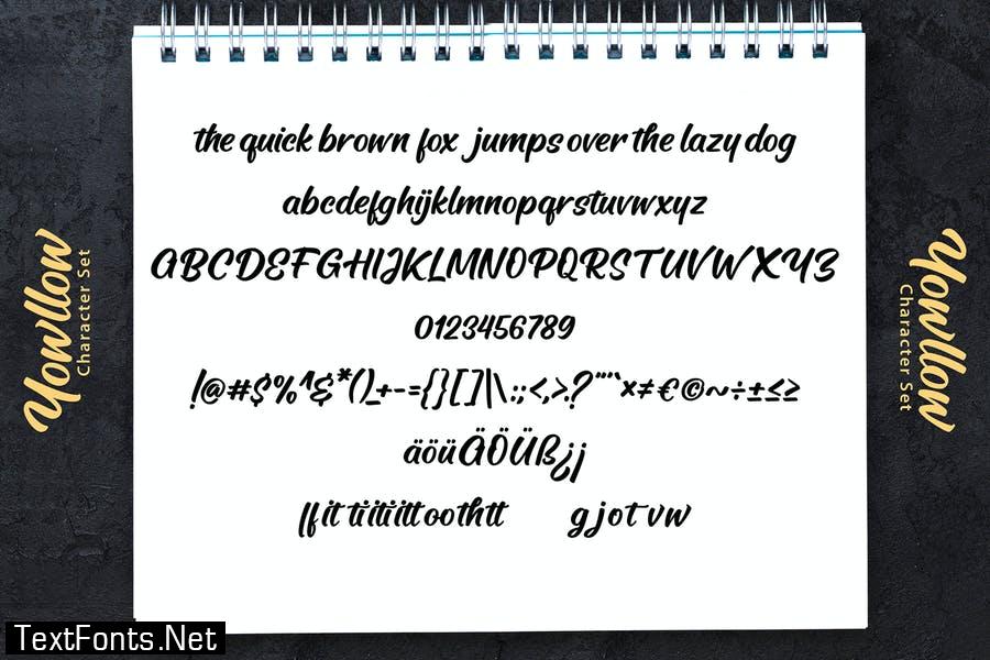 Yowllow | Brush Handlettering Script Font