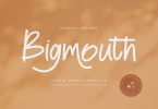 Bigmouth Casual Business Font
