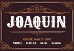 Joaquin - Vintage Display Font