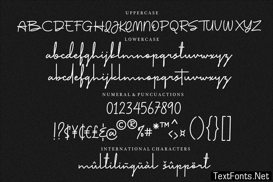 The Stylist Signature Font