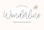 Wonderline Script Font - YH