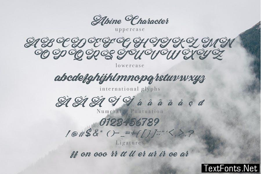 Abine - Display Script Font
