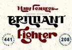 Brilliant Fighter Font