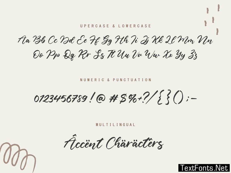 Castlena Script Font YH