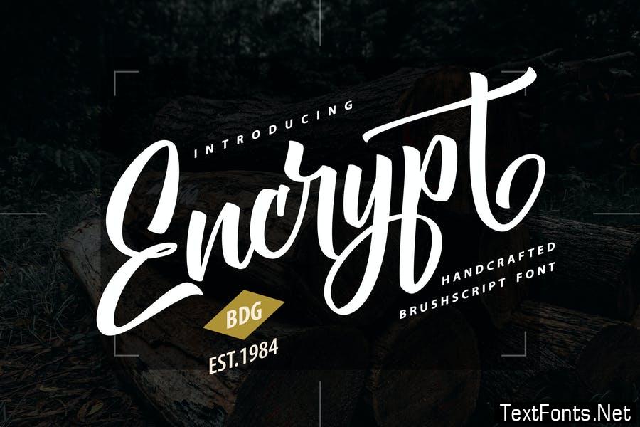 Encrypt | Handcrafted Brush Script Font