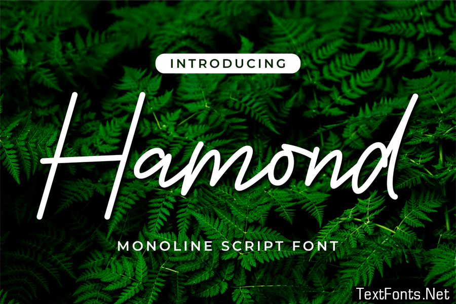 Hamond Font