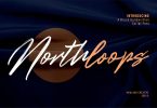 Northloops Brush Handwritten Script Font