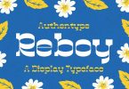 Reboy - Display Typeface Font