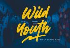 Wild Youth - Brush Font