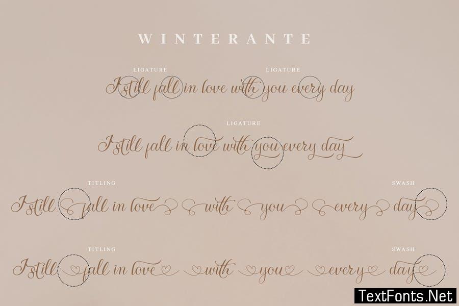 Winterante - Christmas Script Font