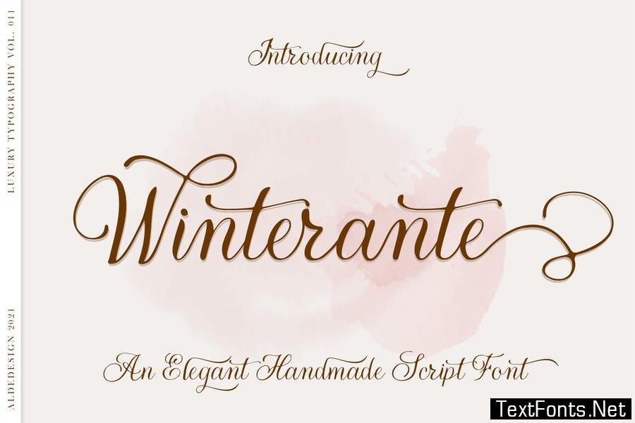 Winterante - Christmas Script Font