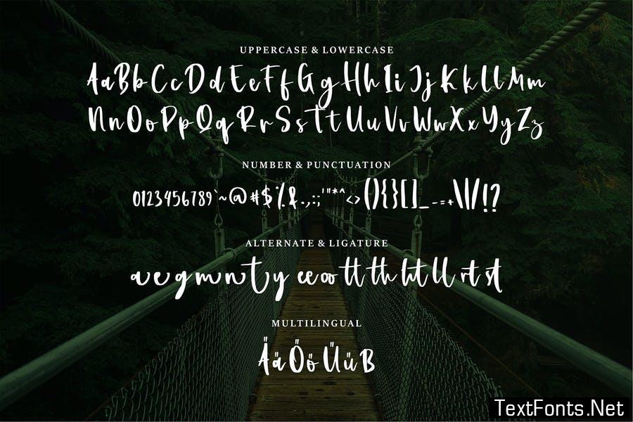 Arthut |Modern Script Font