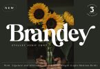 Brandey Stylist Serif Font