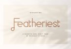 Featheriest - Business Font