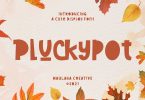 Pluckypot Cute Display Font