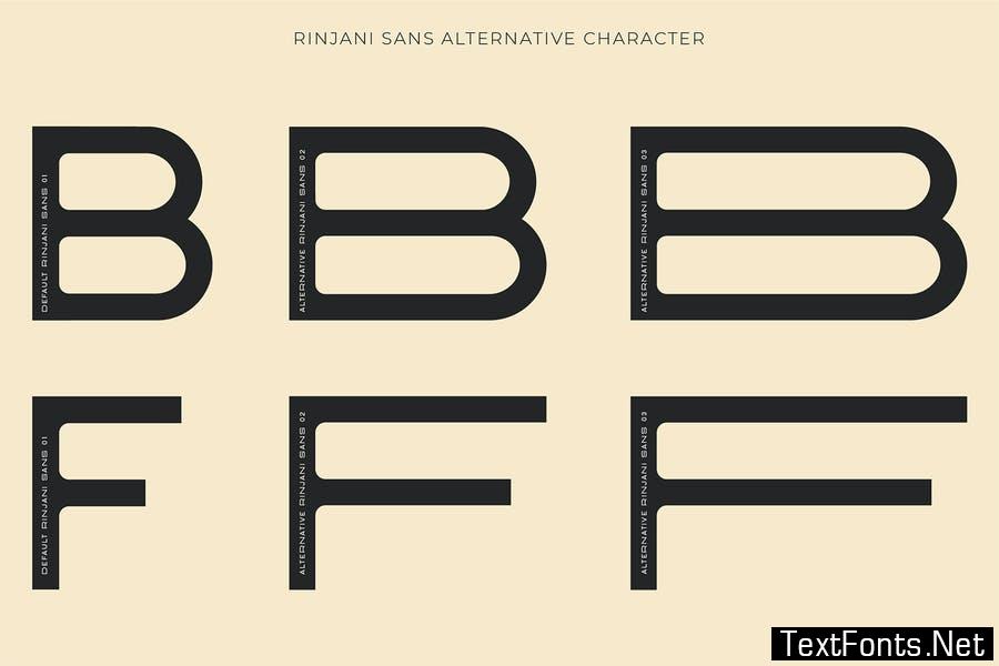 Rinjani Sans - Wide Stretch Typeface Font