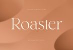 Roaster - Stylish Elegant Font