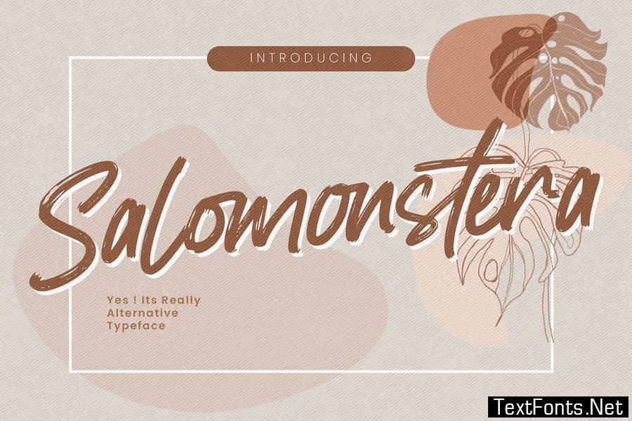 Salomonstera - Really Alternative Typeface Font