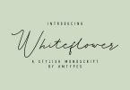 Whiteflower Monoscript Font
