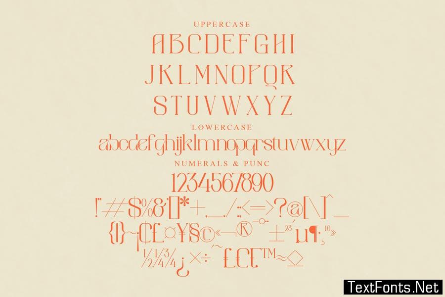 Aimstesa Display Serif Font LS