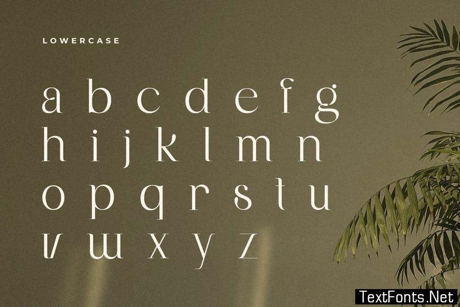 Balfira - Elegant Display Font