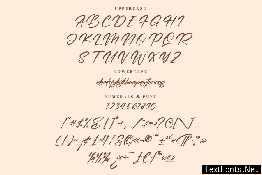 Constalica Modern Signature Font LS