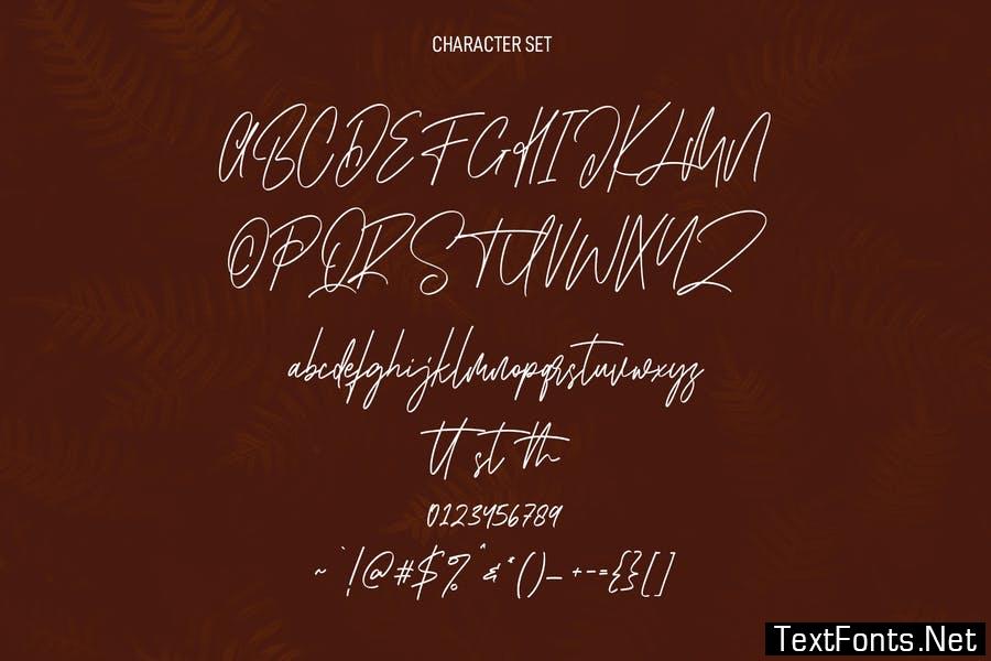 Mellowly Tall Signature Script Font