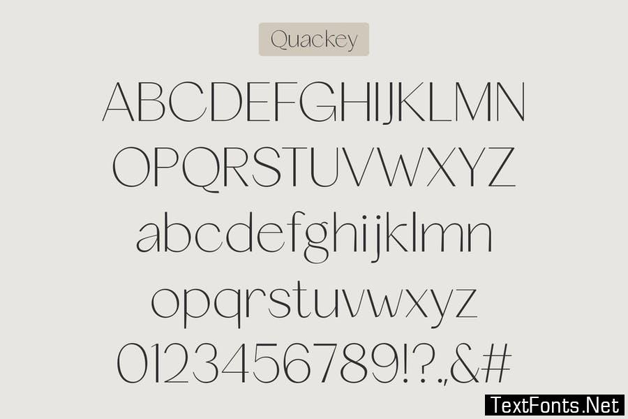 Quackey - Stylish Typeface Font