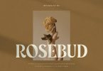 Rosebud - Display Vintage Font