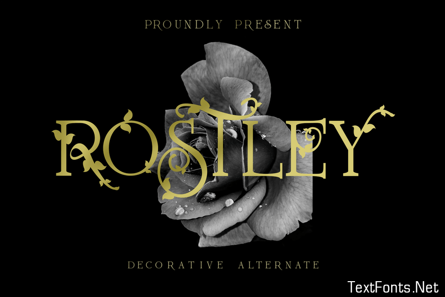 Rostley - Serif Font