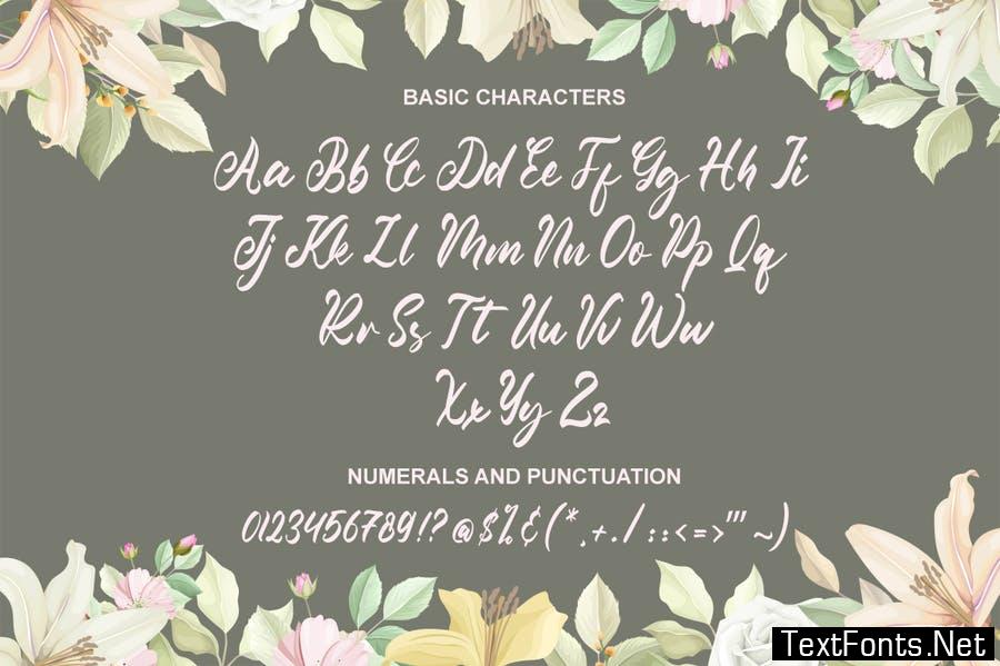 Shamora - Wedding Font