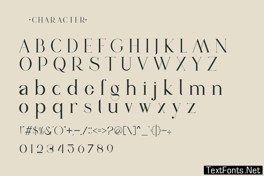 Vindea Ligature Serif Typeface Font