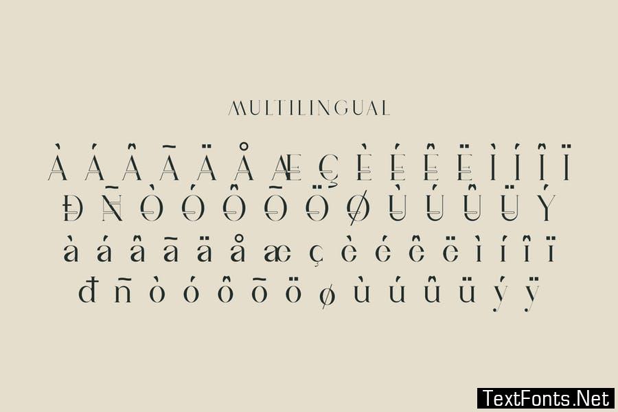 Vindea Ligature Serif Typeface Font