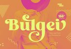 Bulgei - Modern Retro Serif Font
