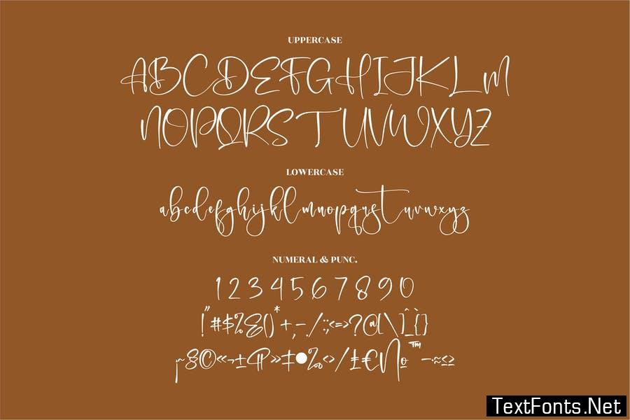 Delgonte Stylish Signature Font LS