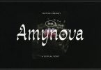 Amynova - Script Sans Serif Display Font